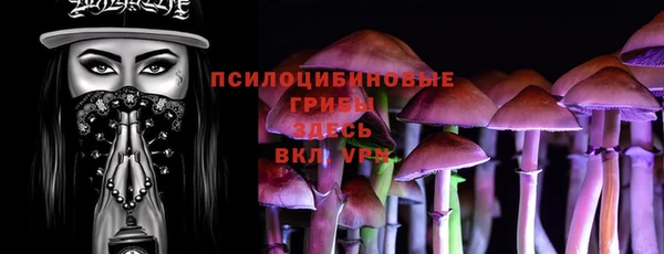 винт Новозыбков