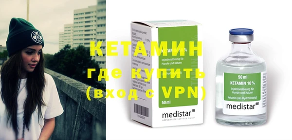 стаф Щигры