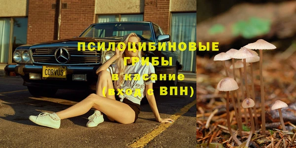 спиды Гусь-Хрустальный