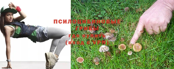 mdma Новодвинск