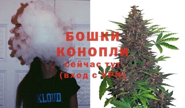 спиды Гусь-Хрустальный