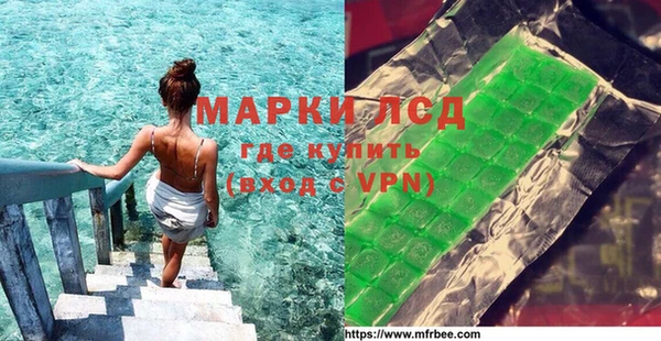 стаф Щигры