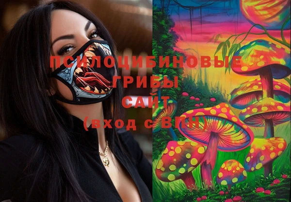 винт Новозыбков
