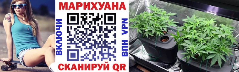 Канабис ГИДРОПОН  Пестово 